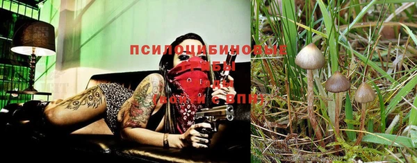 mix Верхний Тагил