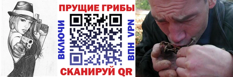 Галлюциногенные грибы Psilocybe  Купить  Приозерск 